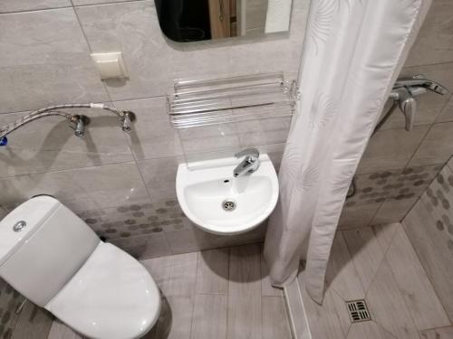 a bathroom with a white toilet and a sink at Apartment on Chopin Street in Lviv