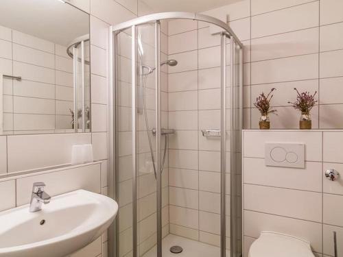 a bathroom with a shower and a sink and a toilet at Schwarzwaldmädel-Ferienwohnungen in Todtnau