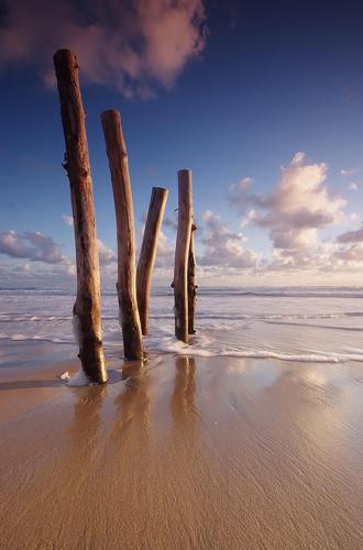 a group of sticks sticking out of the sand on a beach at Hôtel Le Vert Bois in Dolus d'Oléron