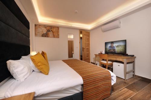 a bedroom with a bed and a desk and a television at Tzukim Desert Traveler's Hotel - מלון צוקים in Mitzpe Ramon