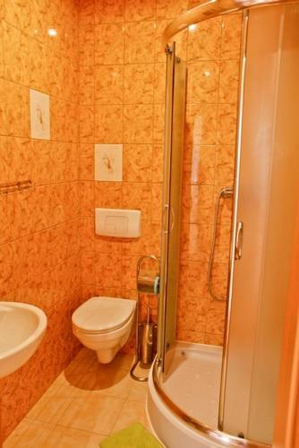 a bathroom with a shower and a toilet and a sink at Willa Światowid in Rabka-Zdrój