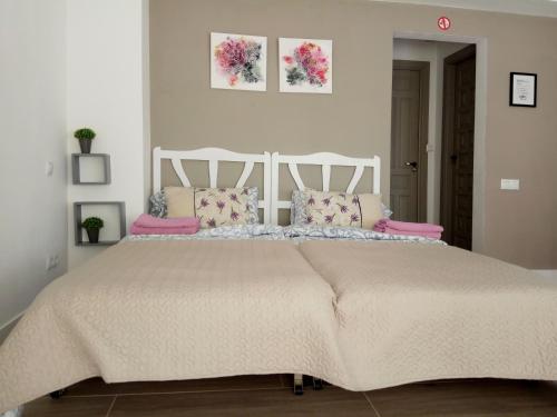 1 dormitorio con 1 cama grande con almohadas rosas en Mini-apartment Donna Rosa D'Alvadorez, en Alicante