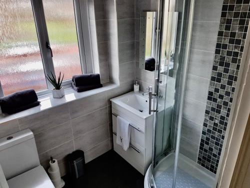 a bathroom with a shower and a sink and a toilet at Levenview Holiday Apartment Loch Lom in Balloch