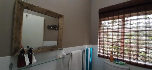 a bathroom with a mirror and a toilet and a window at Abigail's Garden Cottage in Montagu