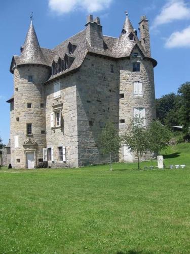 an old castle sitting in the middle of a field at Camping Chez Prosper in Fournels