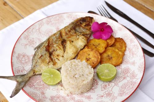a plate of food with fish and rice and a flower at Esquina Lejana EcoLodge in Palomino