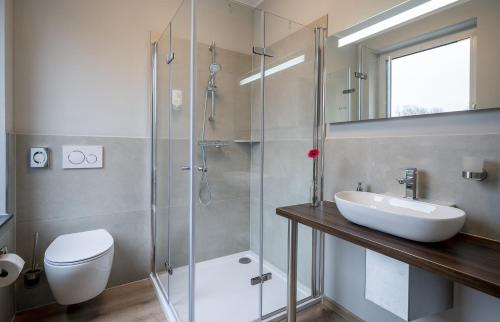 a bathroom with a toilet and a sink and a shower at Hotel Zu Freunden in Hamm