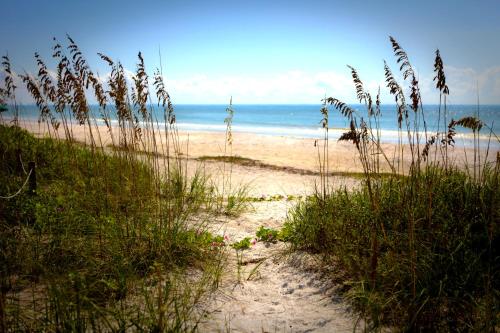 a sandy beach with tall grass and the ocean at Casa Ybel Resort in Sanibel