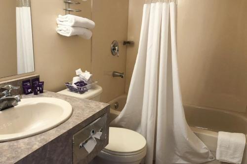 a bathroom with a shower curtain and a toilet and a sink at Knights Inn Fort Erie in Fort Erie