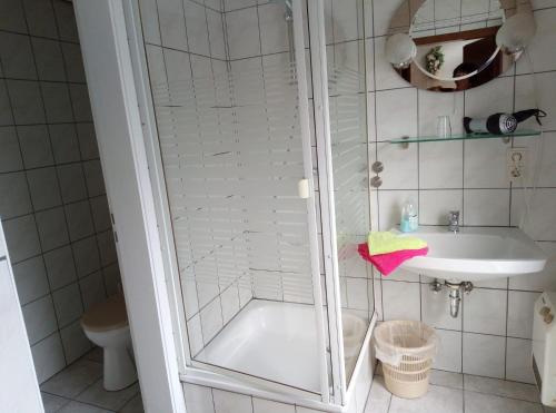 a bathroom with a shower and a sink at Ferienwohnung Schroiff in Simmerath