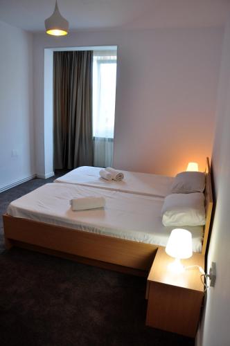 a bedroom with a large bed with a window at MANEA Orsova in Orşova