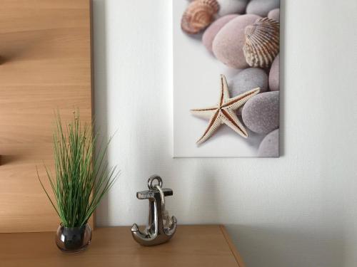 a picture of seashells and a starfish on a table at Steiner Strandappartements Appartement 206 Süd- Landseite in Stein
