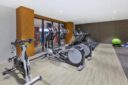 a gym with treadmills and elliptical machines at Hotel Indigo Rochester - Mayo Clinic Area in Rochester