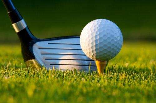 a golf ball on a tee in the grass at JUPITER WATERFALLS - NEWLY UPDATED - TIKI HUT, FIRE PIT, KITCHEN, POOL HEATER and MORE in Jupiter