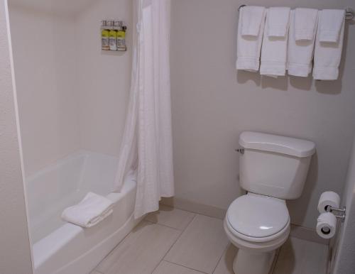 y baño blanco con aseo y bañera. en Holiday Inn Express Hotel & Suites Conover - Hickory Area, an IHG Hotel, en Conover