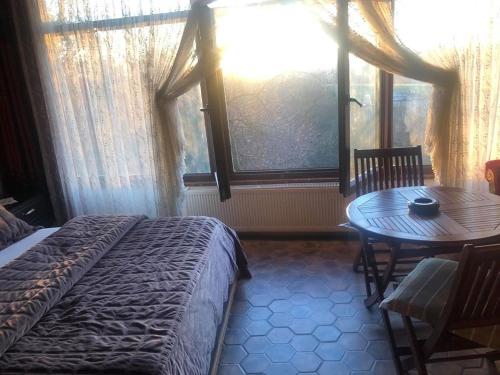 1 dormitorio con cama, mesa y ventana en Santa Roza Hotel, en Estambul