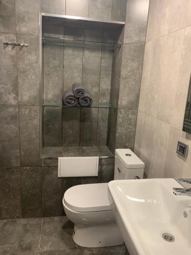 a bathroom with a toilet and a sink at Art Apart 2 in Yerevan