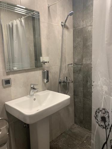 ein Bad mit einem Waschbecken und einer Dusche in der Unterkunft Art Apart 2 in Yerevan