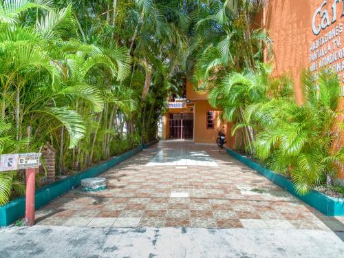 a walkway with palm trees in front of a building at Hotel Bello Caribe in Cozumel