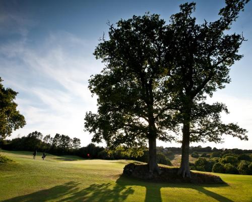 a tree sitting on top of a lush green field at China Fleet Country Club in Saltash