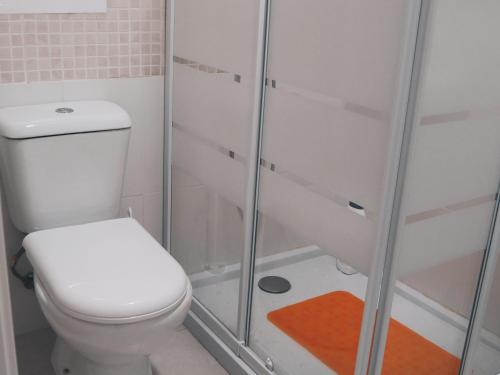 un baño con inodoro y ducha en Apartamentos Centro Emérita, en Mérida