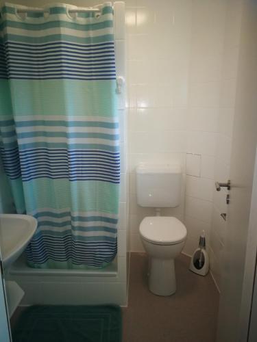 a bathroom with a toilet and a shower curtain at Ferienwohnung Nunatak am Plöner See in Dersau