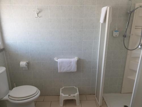 a bathroom with a toilet and a shower with a scale at Hotel Ristorante Bagnaia in Viterbo