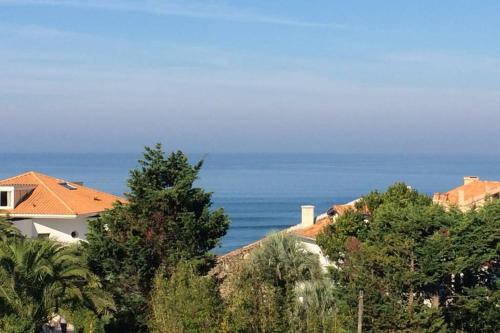 a group of houses and trees with the ocean in the background at L' Ocean et les plages, tout a pied in Anglet
