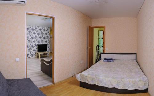 オムスクにあるOmsk Sutki Apartments on Karla Marksa 31のベッドルーム(大型ベッド1台、鏡付)