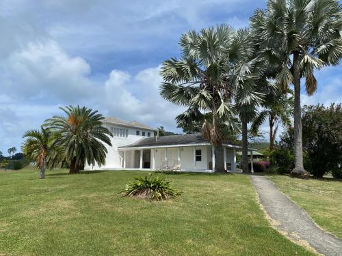 a white house with palm trees in the yard at The Lighthouse in Cotton Ground