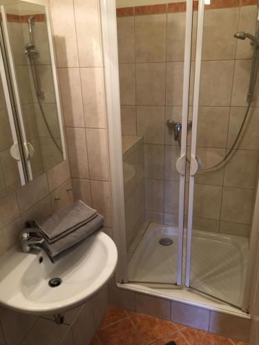 a bathroom with a shower and a sink at Pension Wegerich in Erfurt