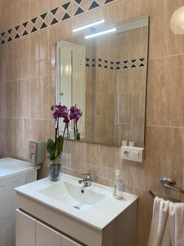 a bathroom with a sink with a mirror and purple flowers at Pensión Hedrass in Santiago de Compostela