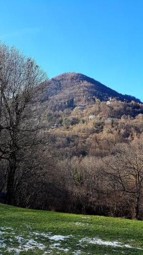 a hill with trees in the foreground and a field at Baita Eleonora in Argegno