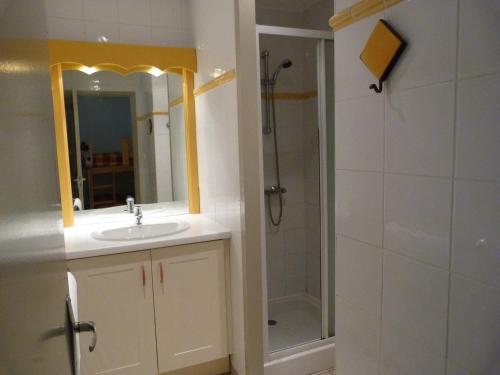 La salle de bains est pourvue d'un lavabo et d'une douche avec un miroir. dans l'établissement Gites de la Garenne, à Nérac