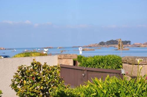 Appartement BELLE VUE MER avec WIFI et cour close TREGASTEL - Ref 42