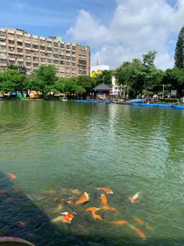a large pond with koi fish in a city at 星霖之家 in Taichung