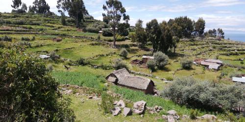 a small village on a hill with a farm at Taquile Hospedaje Mario in Huillanopampa
