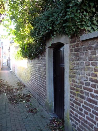 a brick wall with a door with ivy on it at B&B La Ruelle in Profondeville
