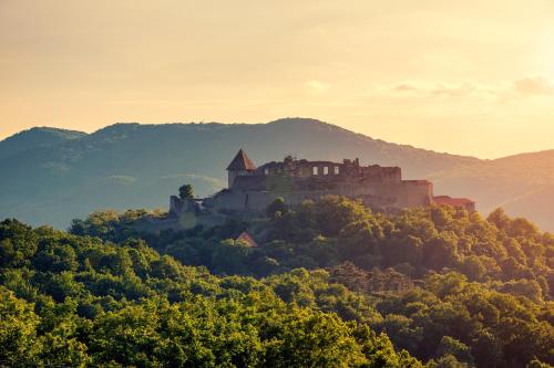 a castle on top of a hill with trees at Villa Harmónia Panzió in Visegrád