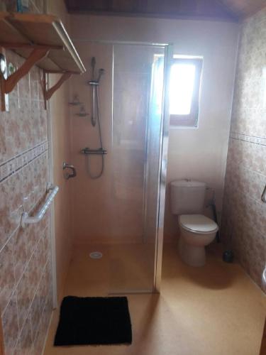 une salle de bain avec douche et toilettes dans l'établissement Mont gîte en Baie, à Genêts