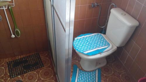 a bathroom with a toilet with a blue and white seat at Aconchego dos schreiber in Belo Horizonte