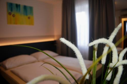 a hotel room with a bed and a plant at Pension Elisabeth - Rooms & Apartments in Salzburg