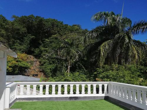 a white fence on top of a yard with a palm tree at House Jardin Del Caribe in Las Terrenas