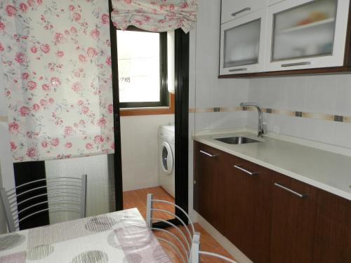 a kitchen with a sink and a washing machine at Apartamento Río Breiro in Boiro