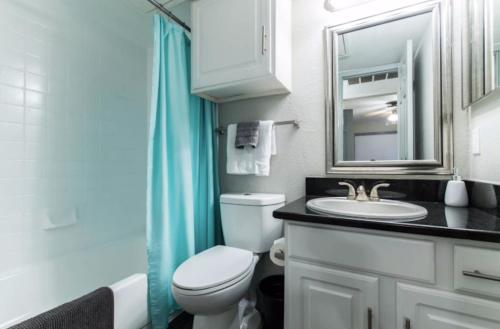 een badkamer met een toilet, een wastafel en een spiegel bij Designed to Relax-NO PARTIES ALLOWED in Dallas