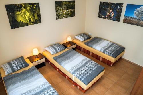 um grupo de quatro camas num quarto em Ubytování ve Vinařství Medek | Medek House & Winery em Uherské Hradiště