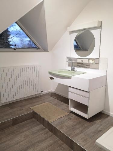 une salle de bain avec un lavabo et un miroir dans l'établissement La Marquière - Gite Val de Loire, à Onzain