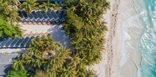 an overhead view of a beach with palm trees at Hotel Reina del Mar By Dorado in San Andrés