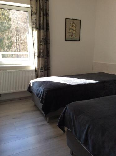 a bedroom with two beds and a window at Relax im Wald in Bad Harzburg