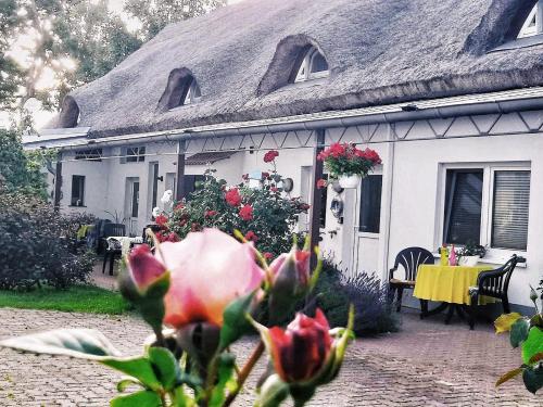 una casa blanca con techo de paja y una flor en Reet Landhaus Rügen, en Ummanz